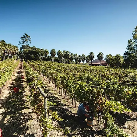 Quinta Vale Do Cruz Farm stay